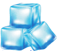 Edible Ice Cubes Bag - 10KG – Icenice