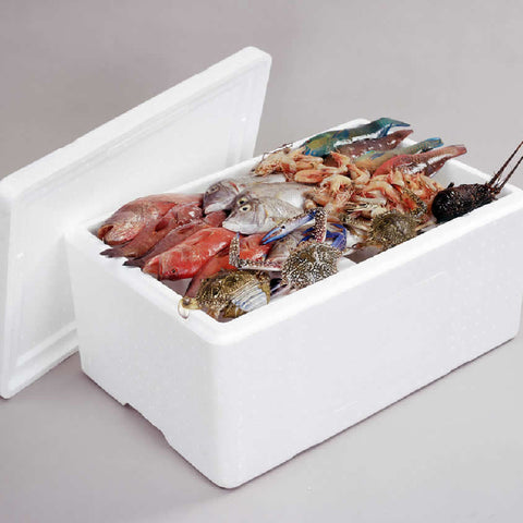 Styrofoam box dubai price near me,dubai,price in dubai,price,sharjah,abudhabi FP 5 Styrofoam box dubai price near me,dubai,price in dubai,price,sharjah,abudhabi FP 5