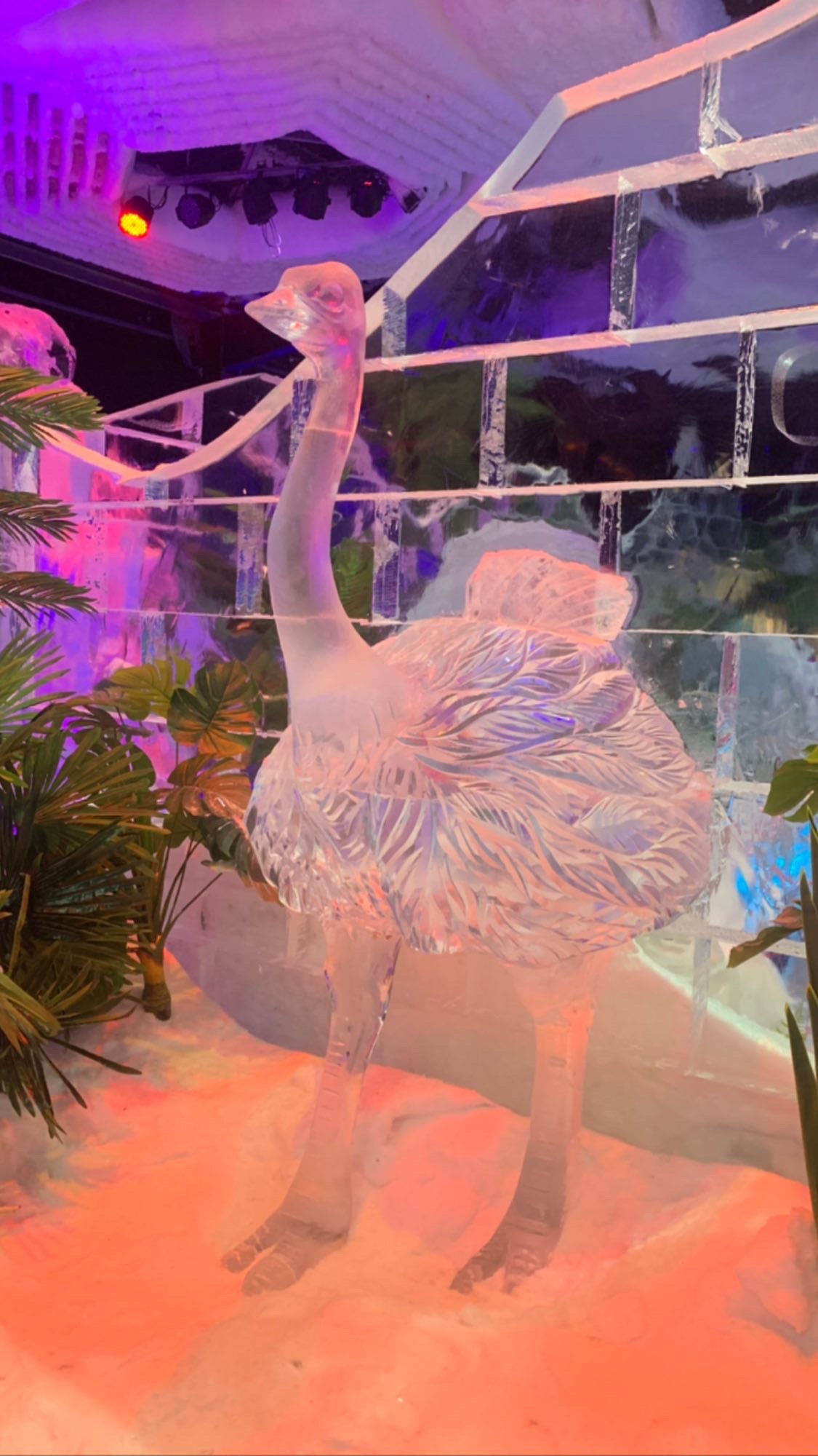 ice Sculptures dubai price near me sharjah abu dhabi FP 13 ice Sculptures dubai price near me sharjah abu dhabi FP 13