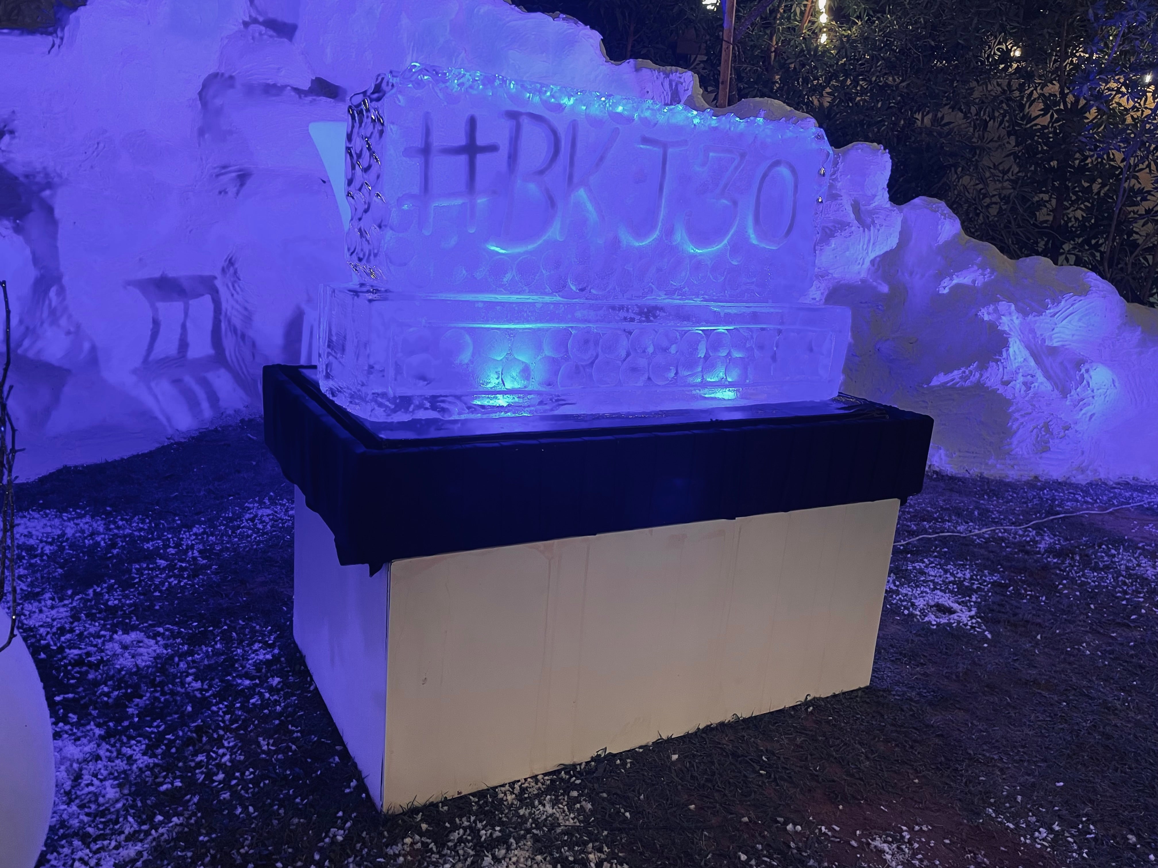 ice Sculptures dubai price near me sharjah abu dhabi FP 11